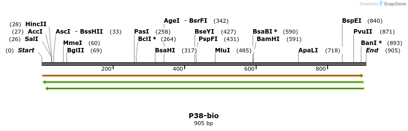 72087_map