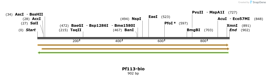 72094_map