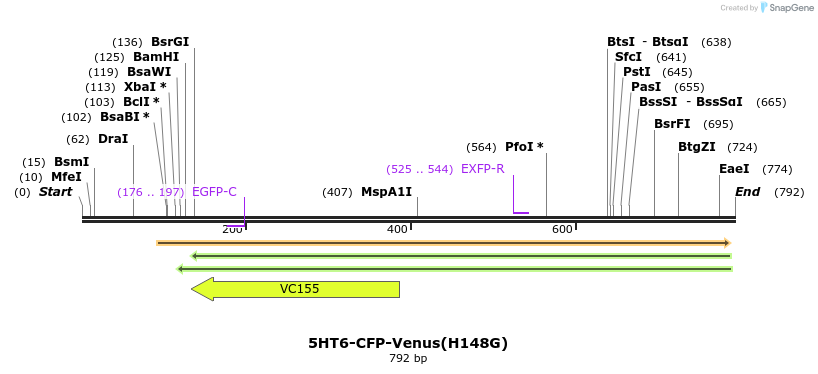 72102_map