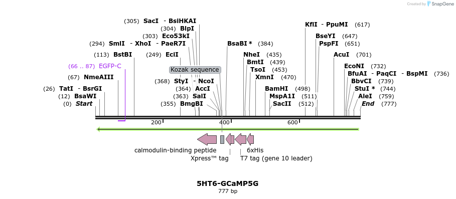 72104_map