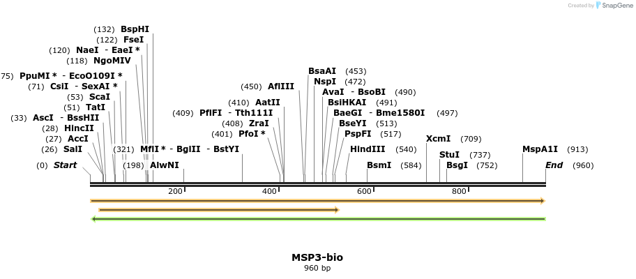 72105_map
