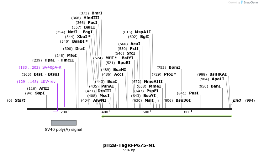 72107_map