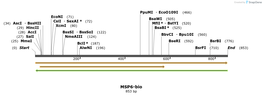 72109_map