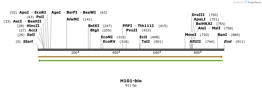 72111_map