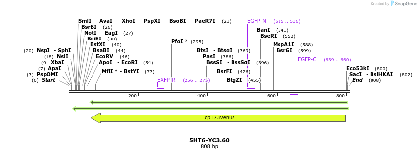 72113_map