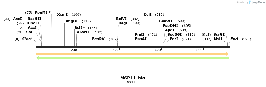 72114_map