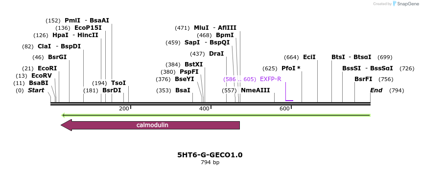 72115_map