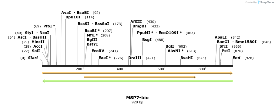 72116_map