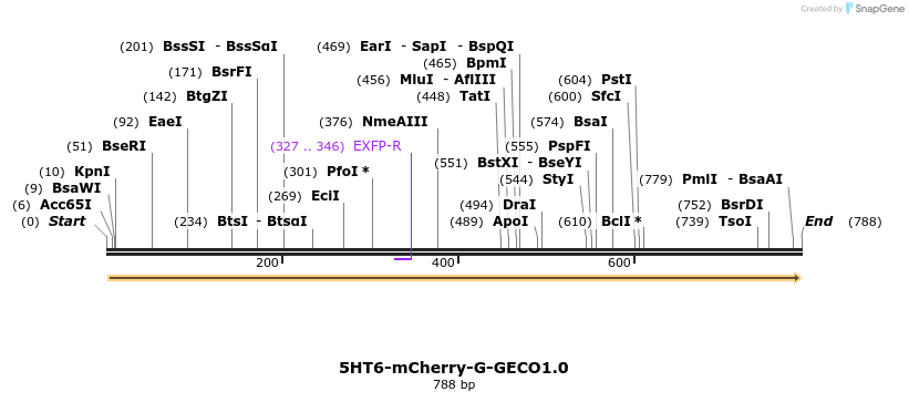 72117_map