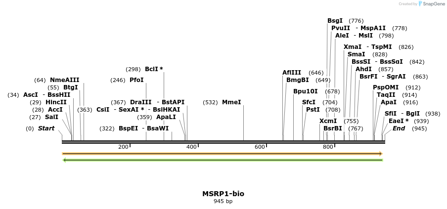 72119_map