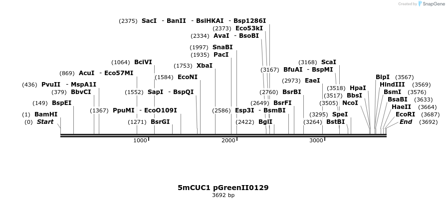 7212_map