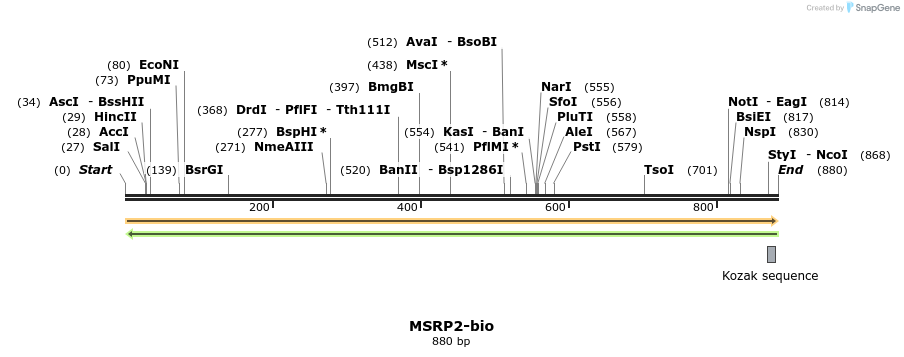 72121_map