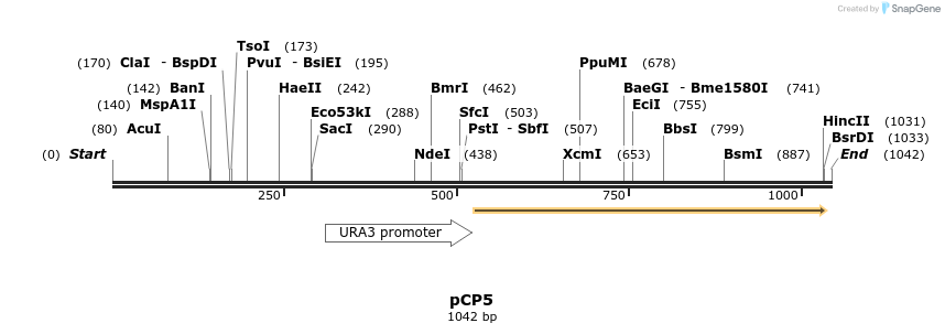 72124_map