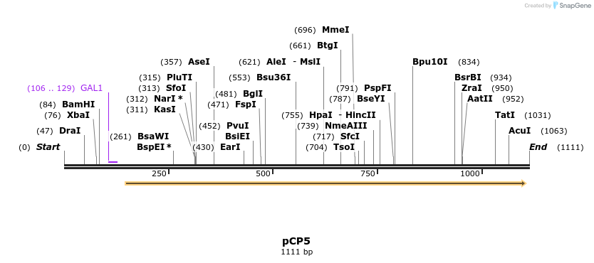 72126_map