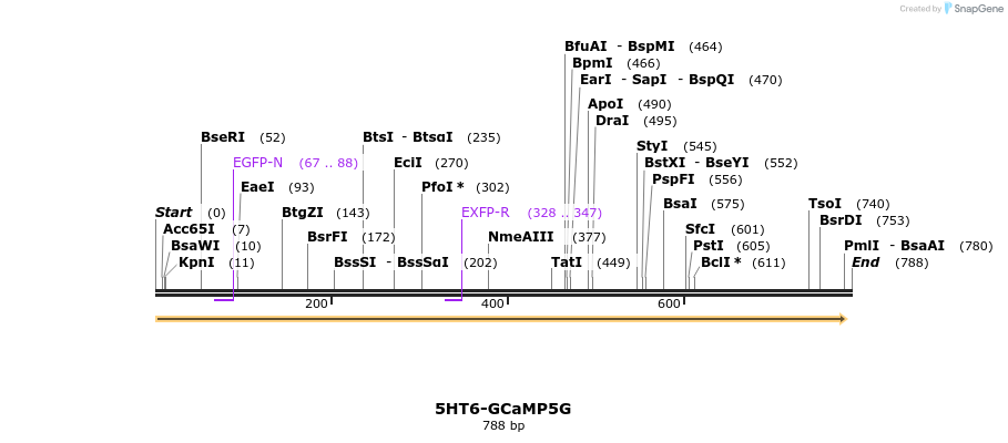 72128_map