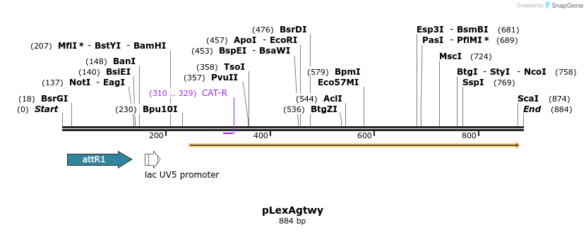 72129_map