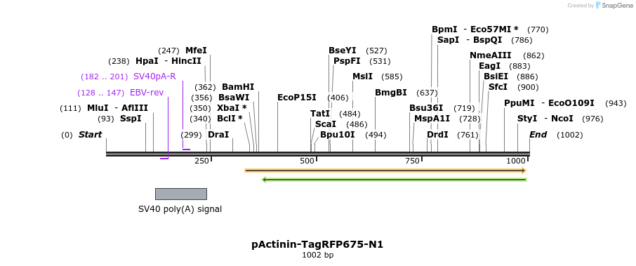 72131_map