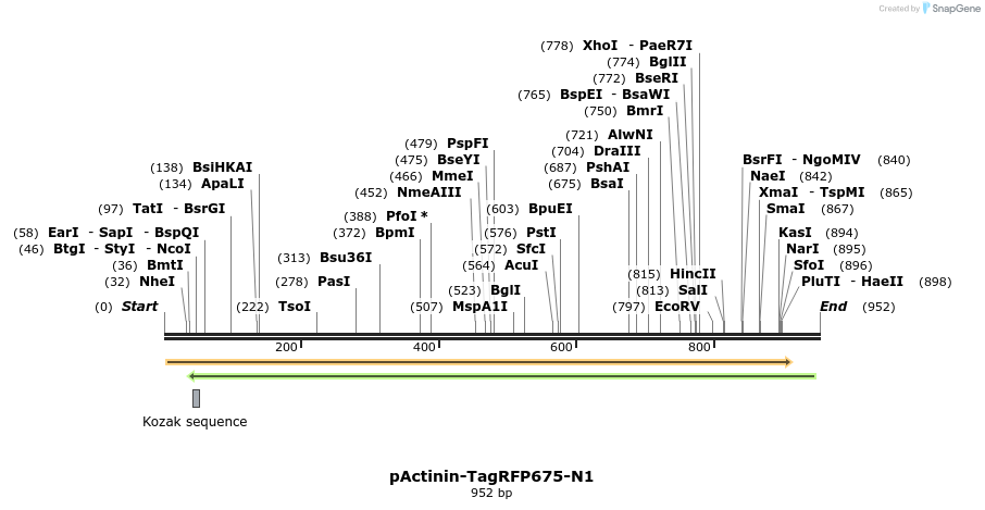 72132_map