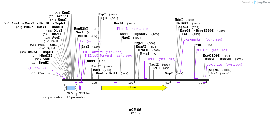 72135_map
