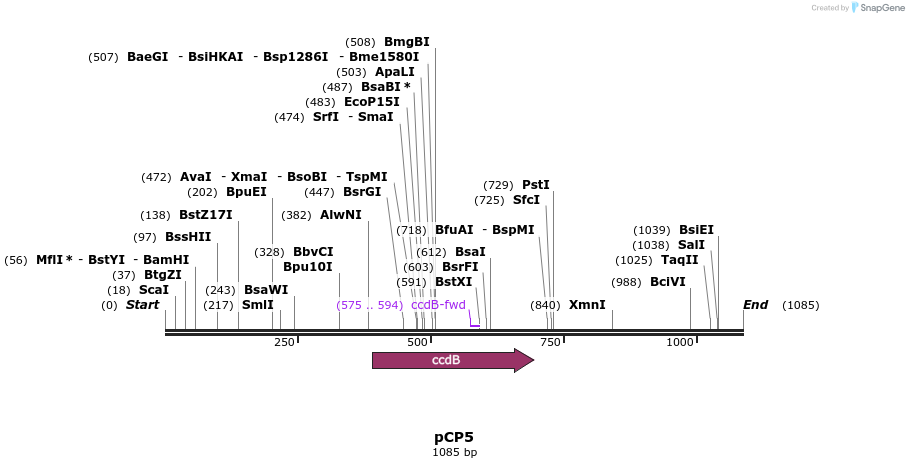 72138_map