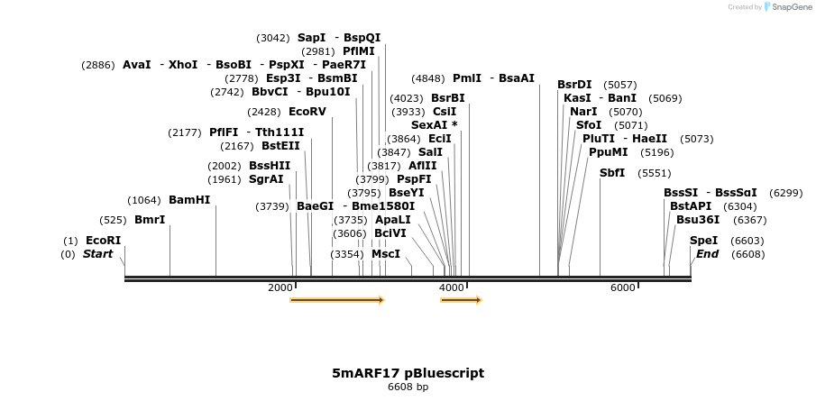 7214_map