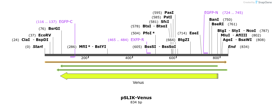 72141_map