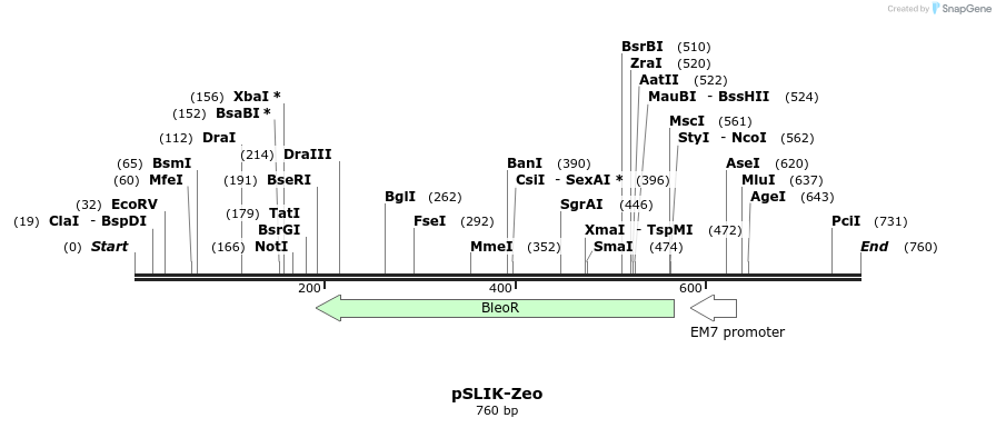 72143_map