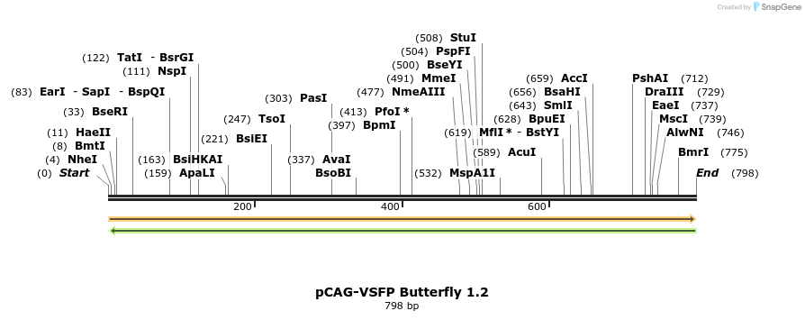 72146_map