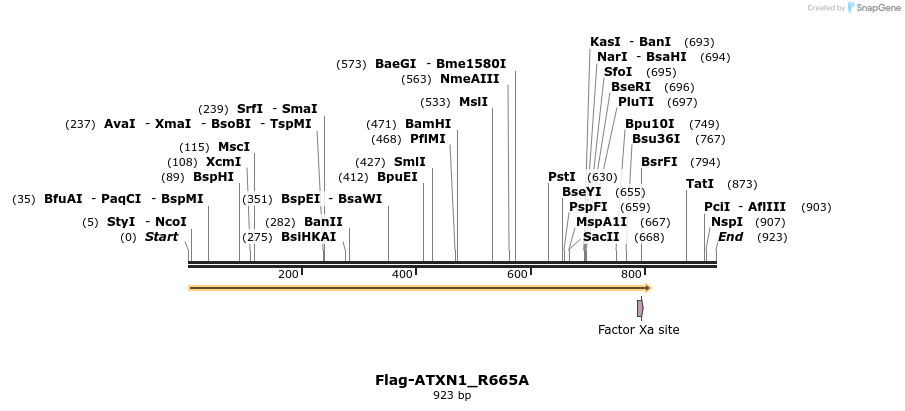 72149_map