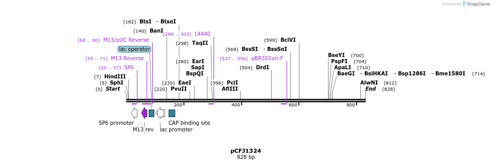 72150_map