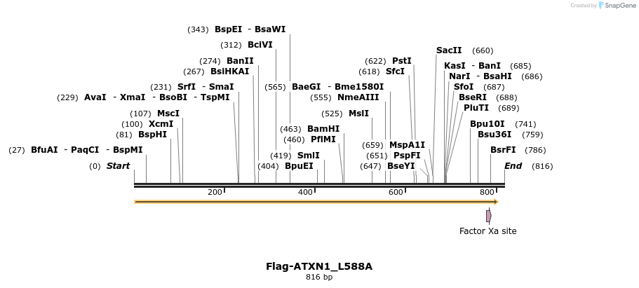 72152_map