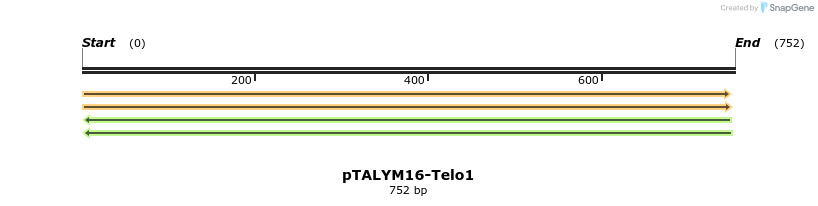 72153_map