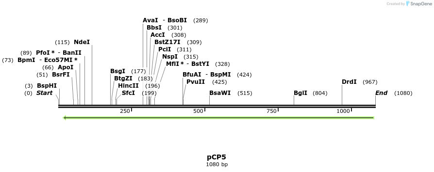 72155_map