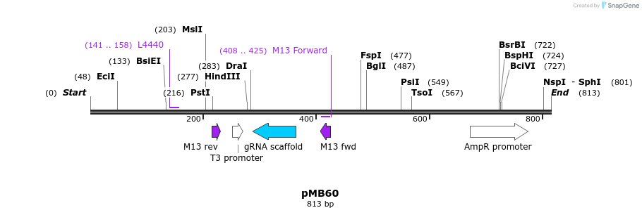 72156_map