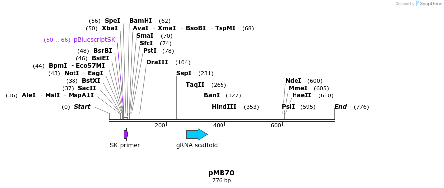 72157_map