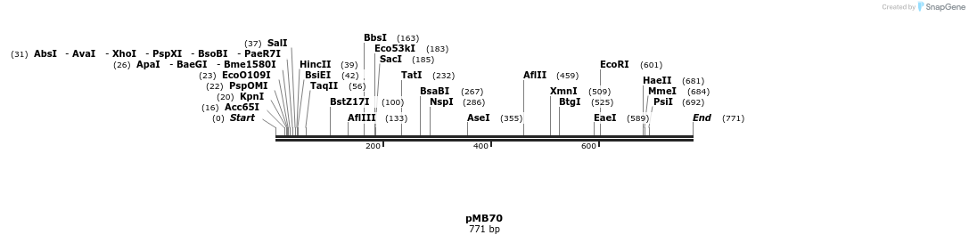 72158_map