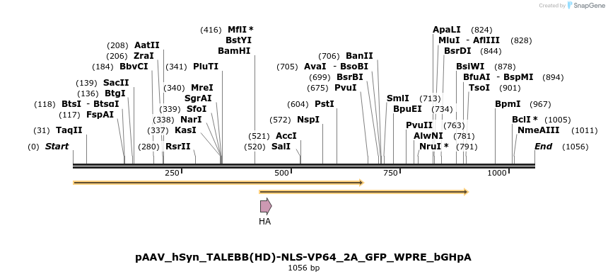 72159_map