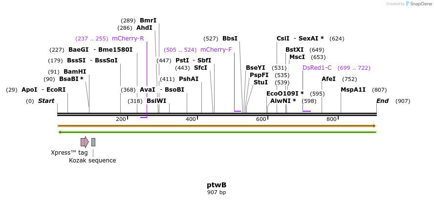 72161_map