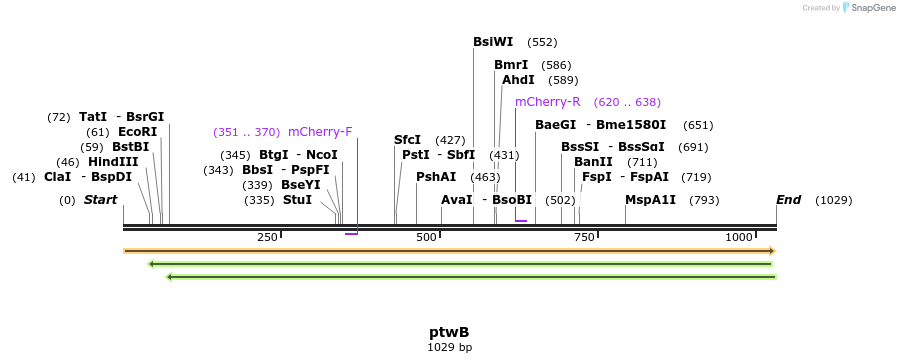 72162_map