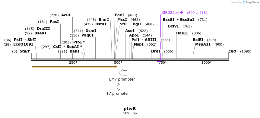 72163_map