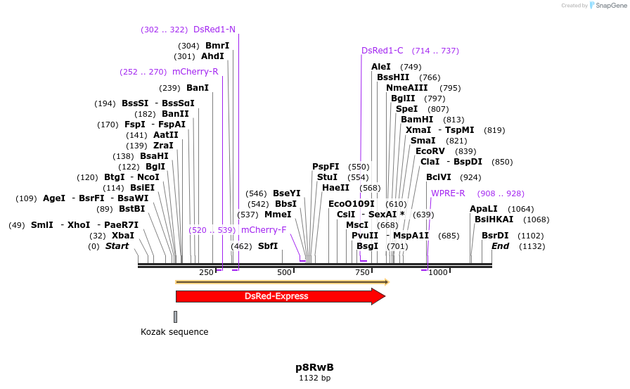 72164_map