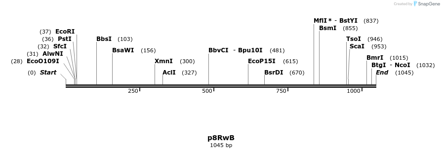 72165_map
