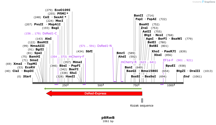 72166_map