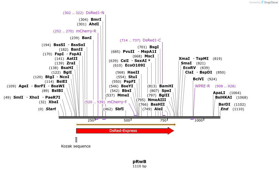 72167_map