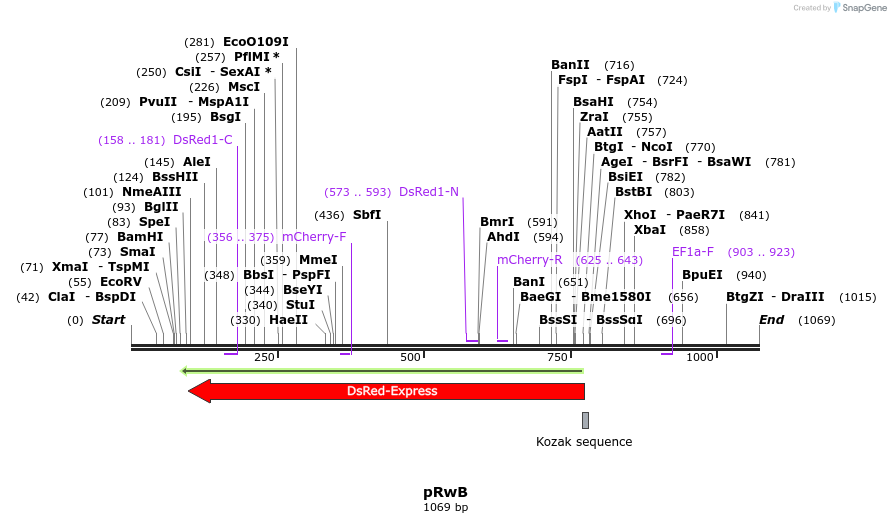 72168_map