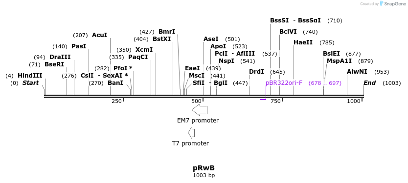 72169_map