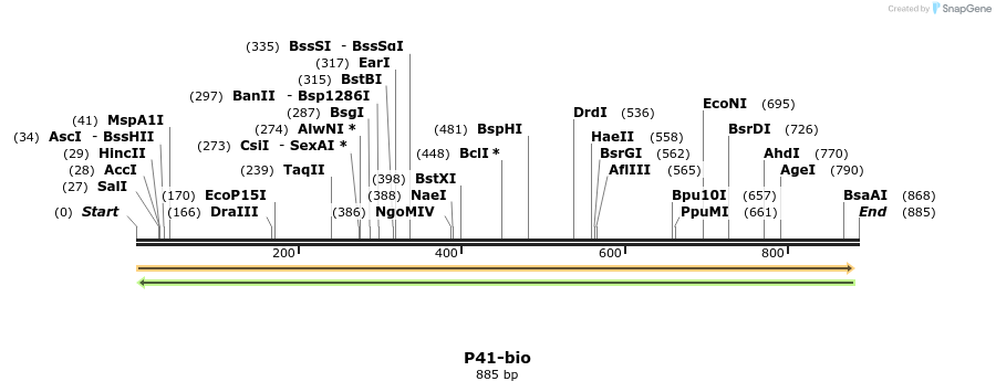 72174_map