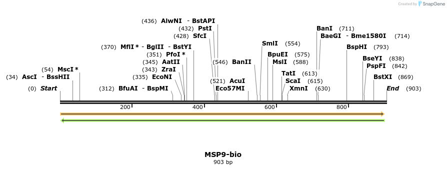 72175_map