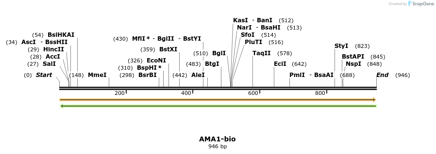 72176_map