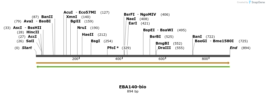 72177_map